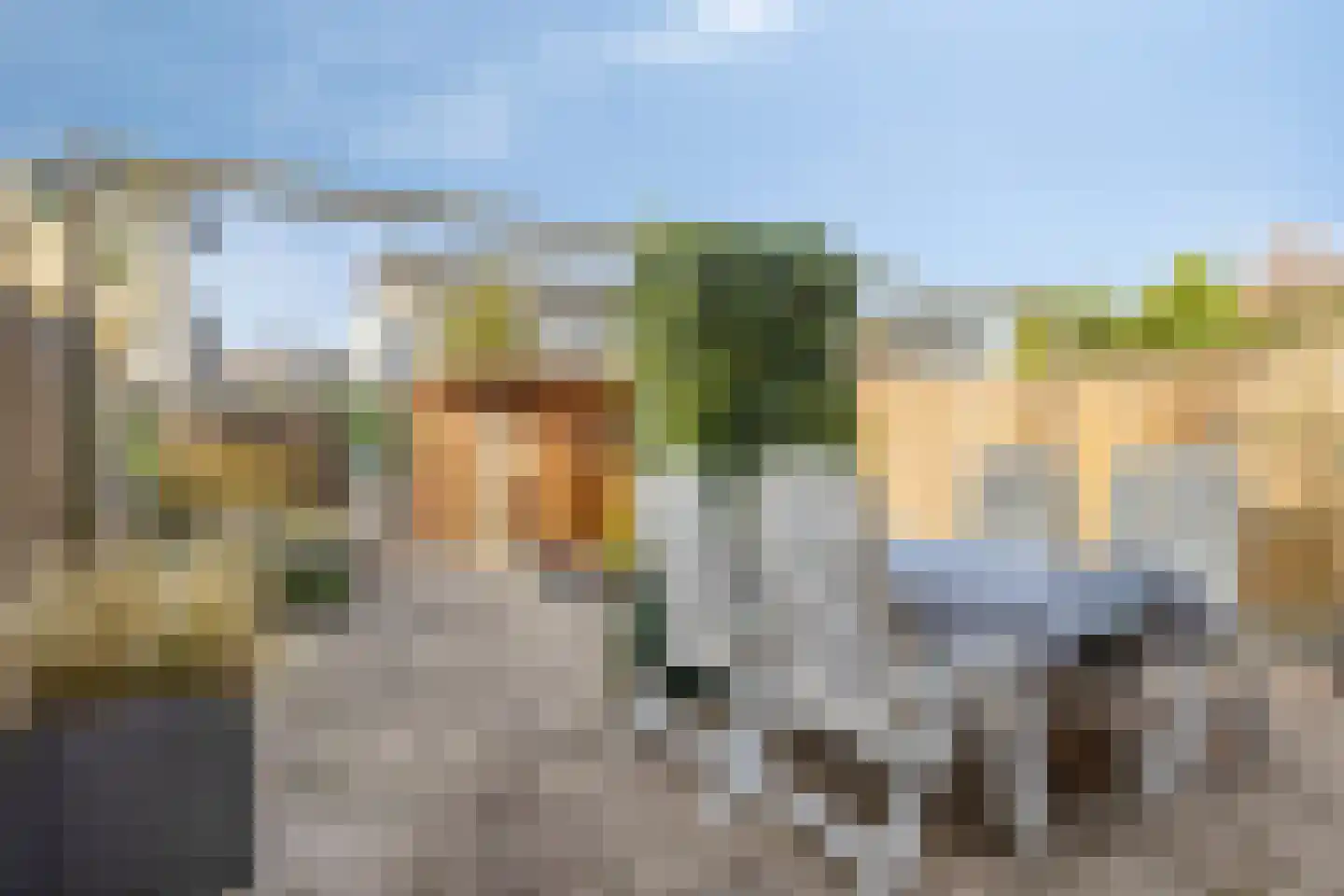Paviljoentjalk 31 Bergen op Zoom thumbnail 26