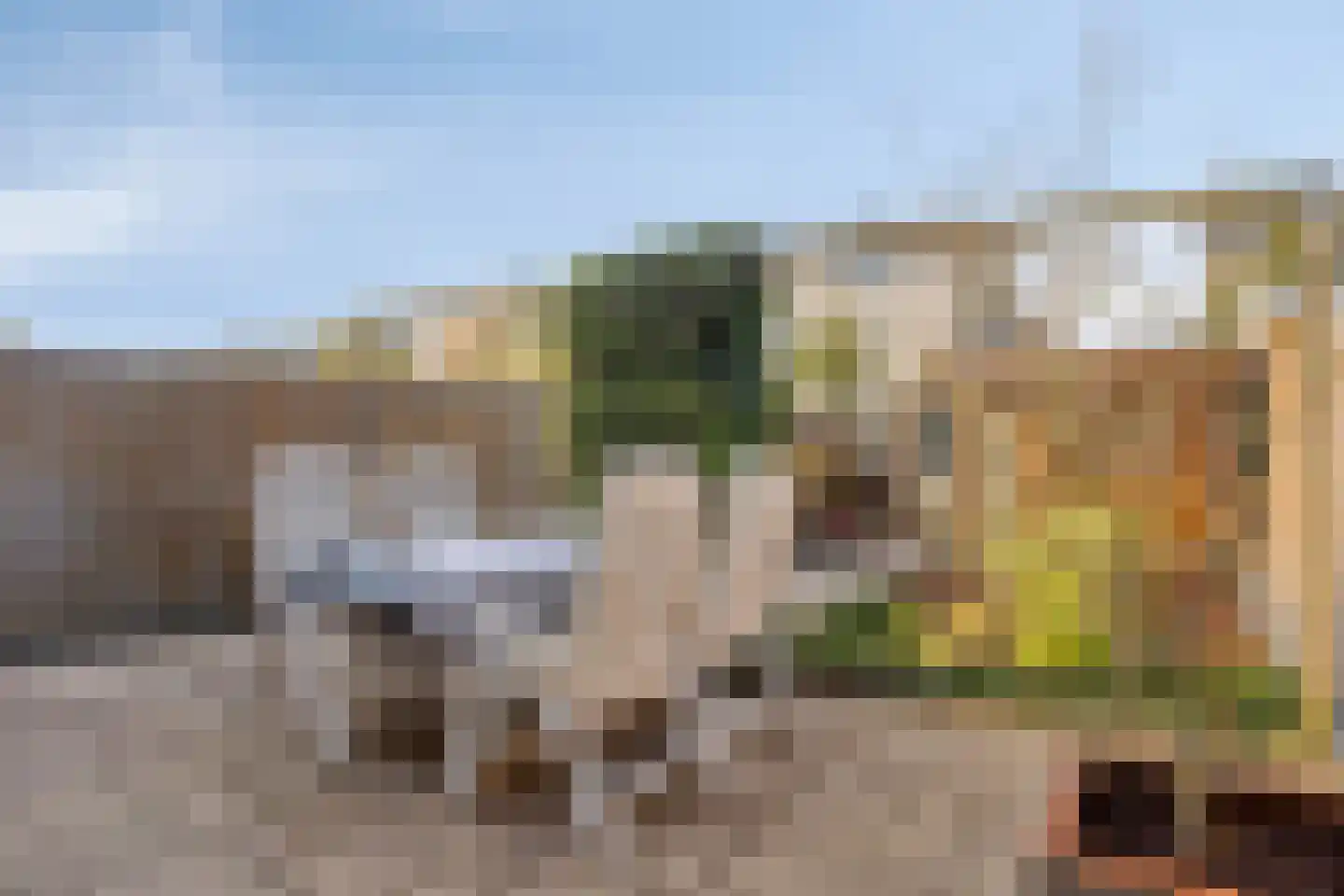 Paviljoentjalk 31 Bergen op Zoom thumbnail 27