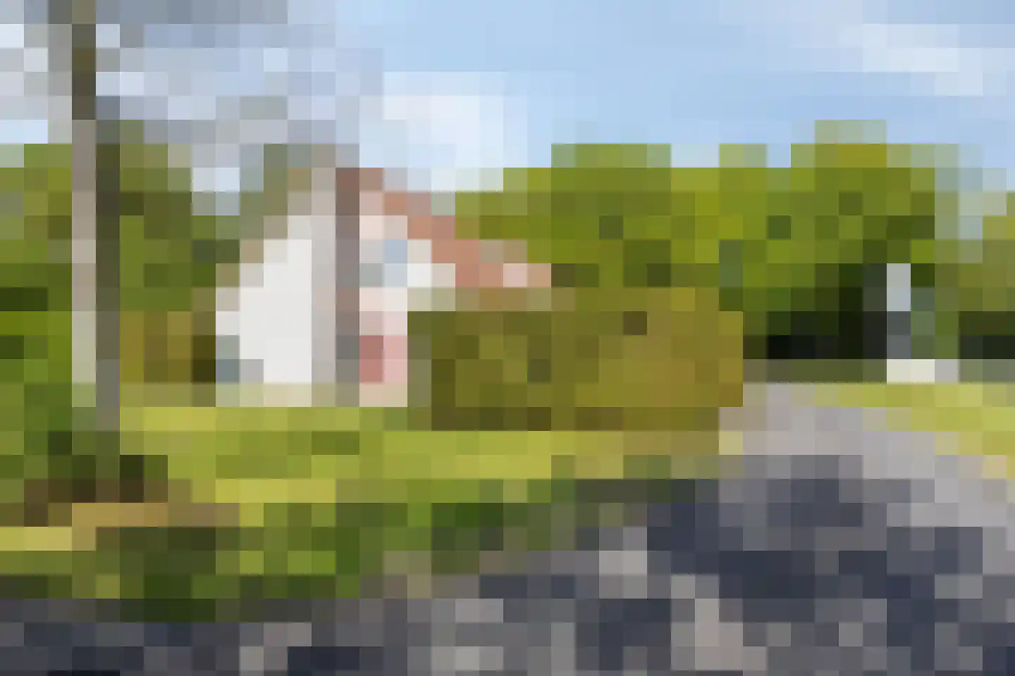 Paviljoenweg 2 H100 Wedde thumbnail 5