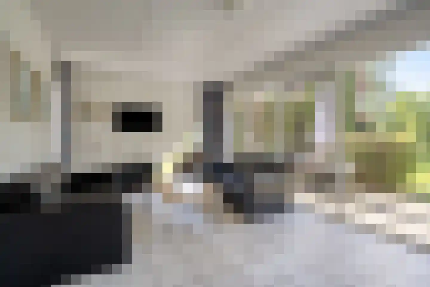 Paviljoenweg 2 H100 Wedde thumbnail 9