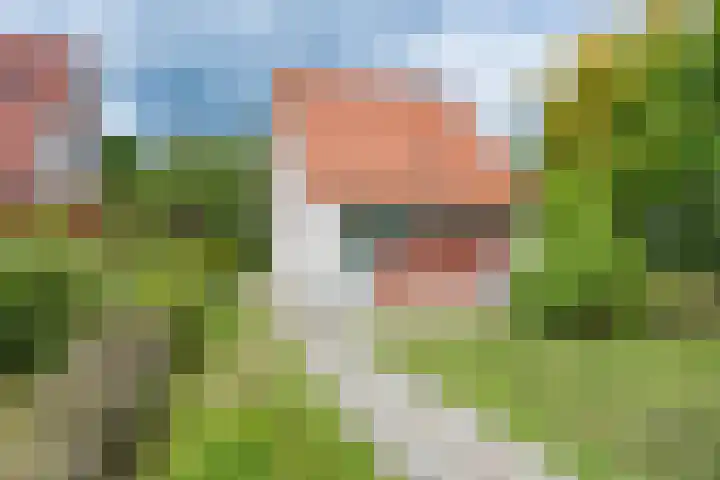 Paviljoenweg 2 H26 Wedde thumbnail 15
