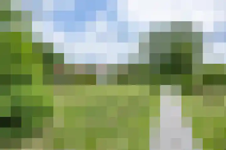 Paviljoenweg 2 H26 Wedde thumbnail 17