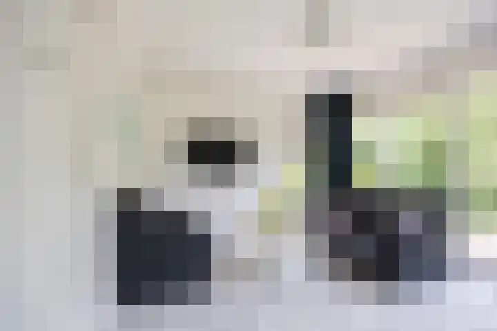 Paviljoenweg 2 H26 Wedde thumbnail 20