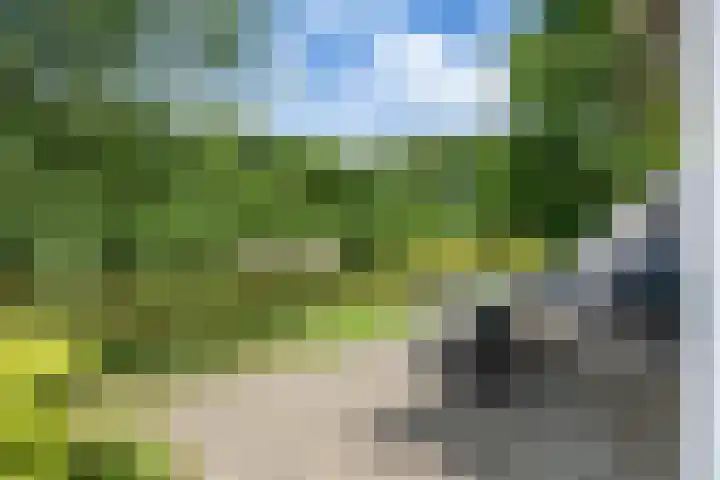 Paviljoenweg 2 H26 Wedde thumbnail 45