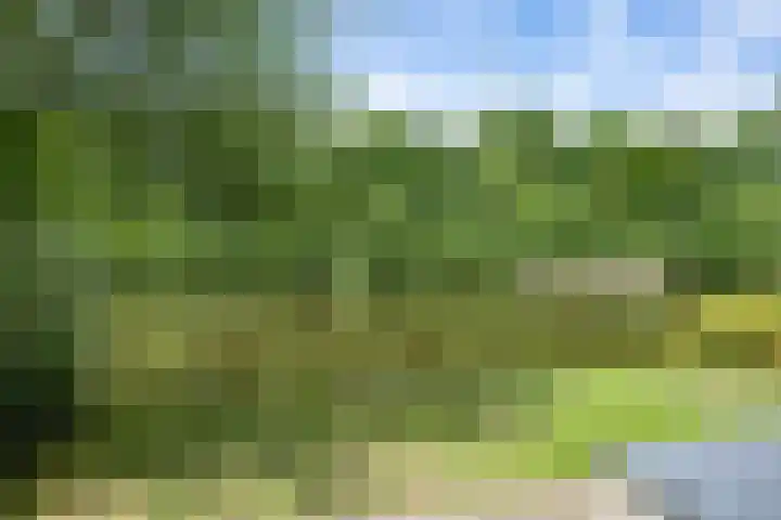 Paviljoenweg 2 H26 Wedde thumbnail 46