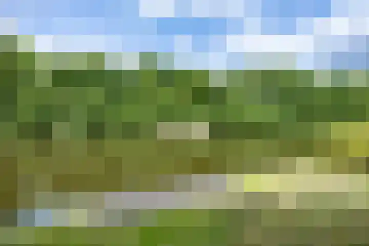 Paviljoenweg 2 H26 Wedde thumbnail 47