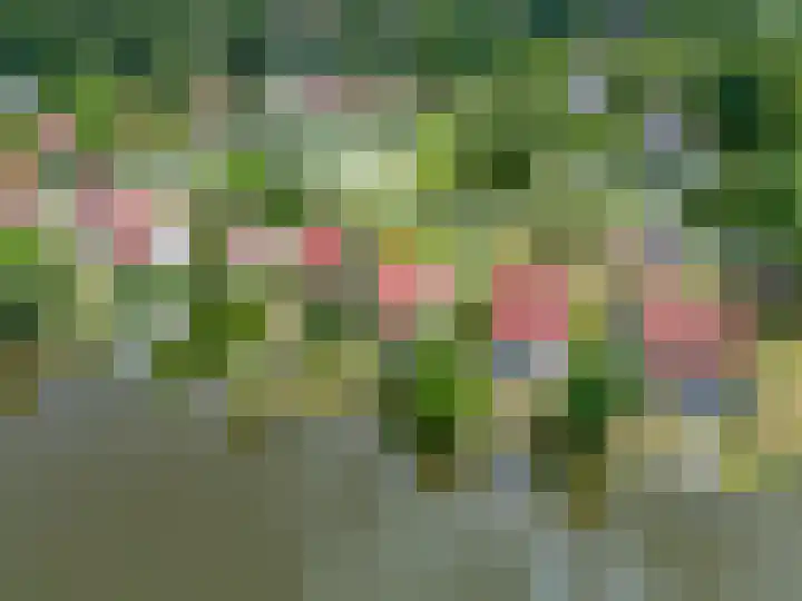 Paviljoenweg 2 H26 Wedde thumbnail 5