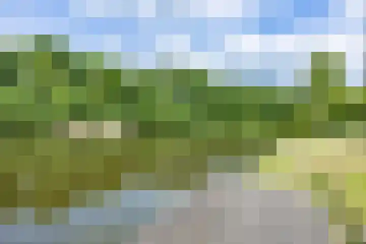 Paviljoenweg 2 H26 Wedde thumbnail 51