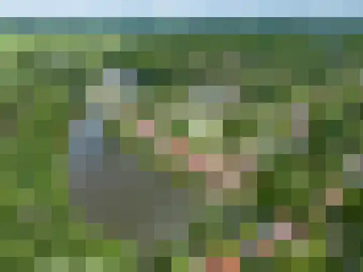 Paviljoenweg 2 H26 Wedde thumbnail 6