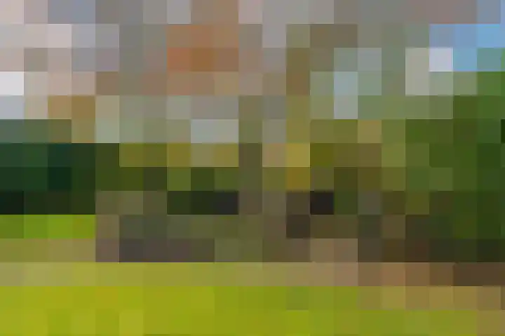 Paviljoenweg 2 H4 Wedde thumbnail 12