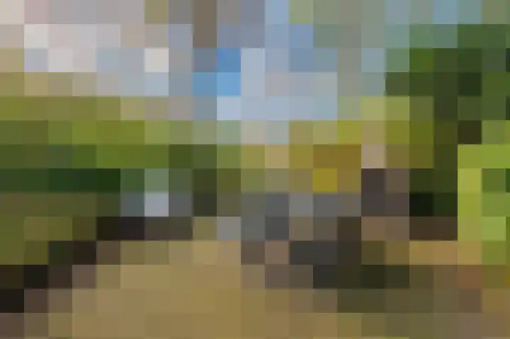 Paviljoenweg 2 H4 Wedde thumbnail 13