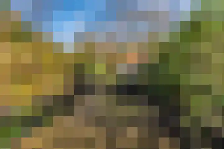 Paviljoenweg 2 H4 Wedde thumbnail 16