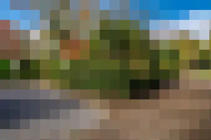 Paviljoenweg 2 H4 Wedde thumbnail 5