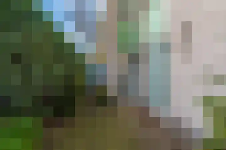 Paviljoenweg 2 H4 Wedde thumbnail 6