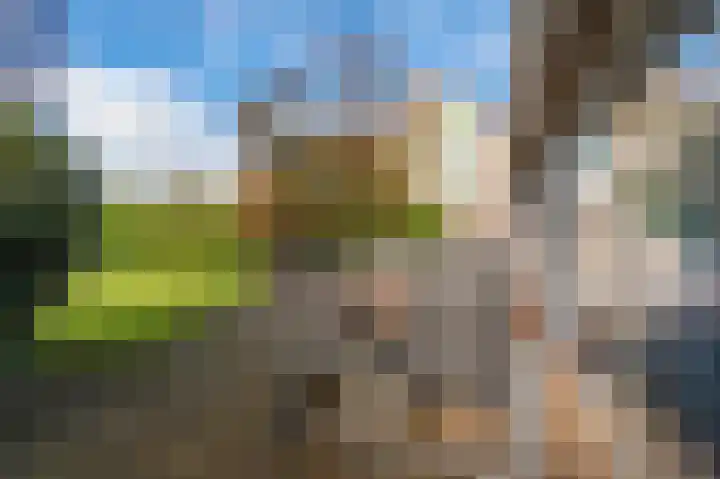Paviljoenweg 2 H4 Wedde thumbnail 7