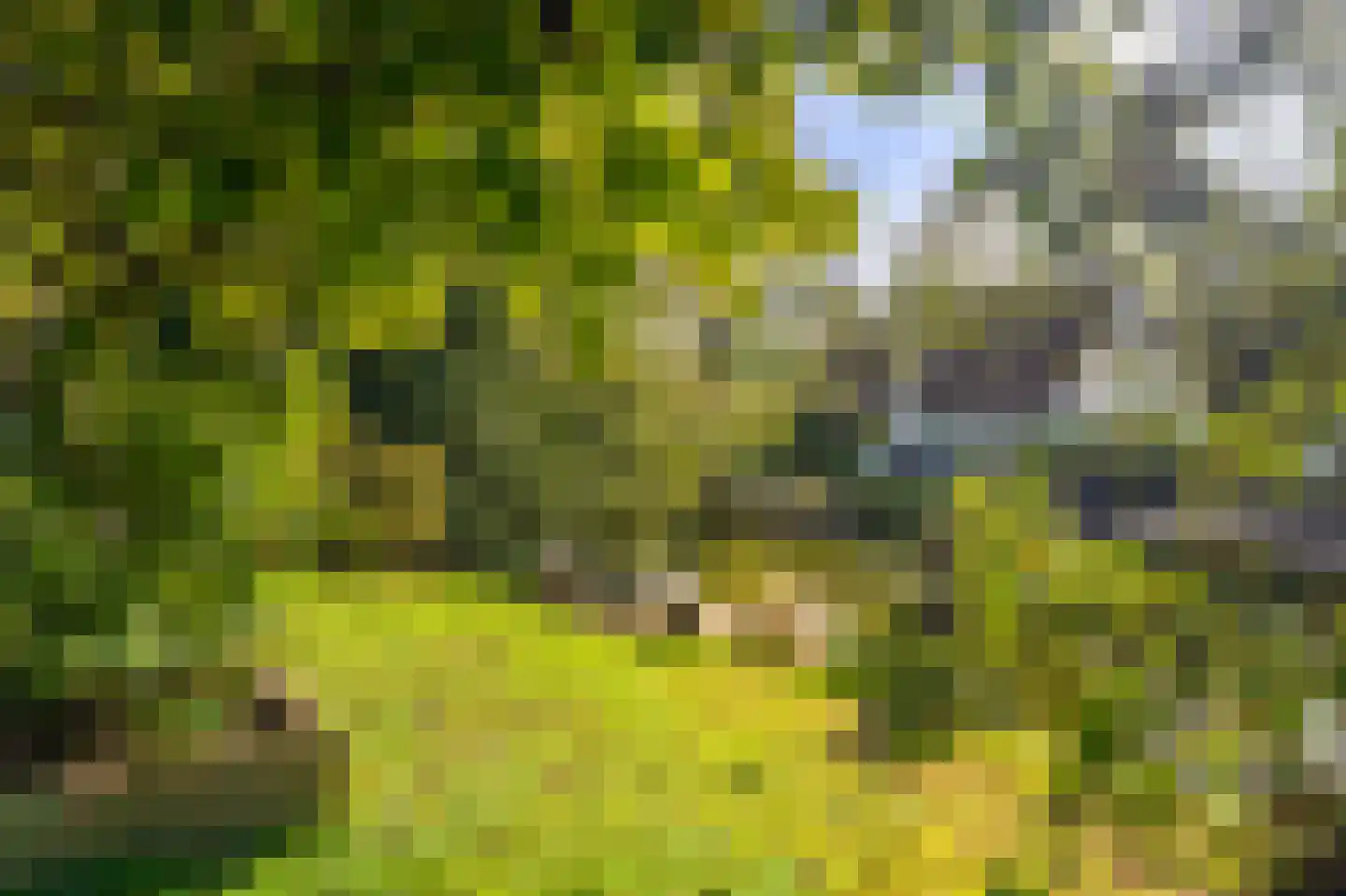 Paviljoenweg 2 H40 Wedde thumbnail 43