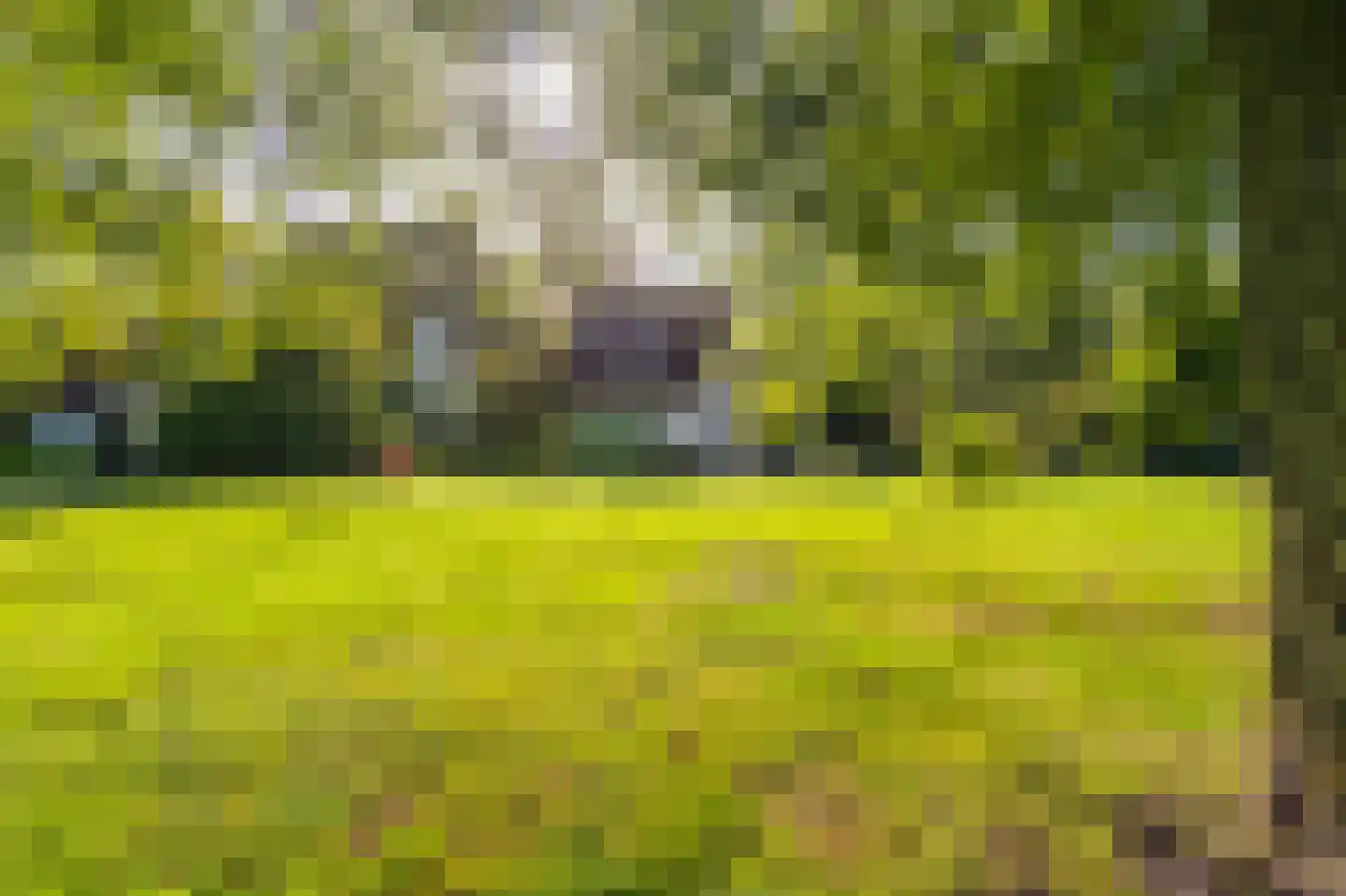 Paviljoenweg 2 H40 Wedde thumbnail 9