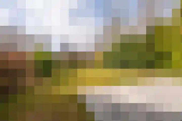 Paviljoenweg 2 H85 Wedde thumbnail 8
