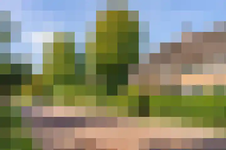 Paviljoenweg 6 Huizen thumbnail 4