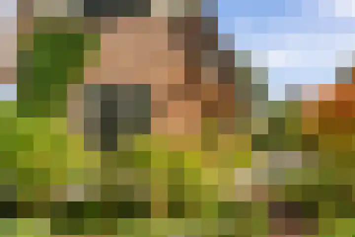 Paviljoenweg 6 Huizen thumbnail 5
