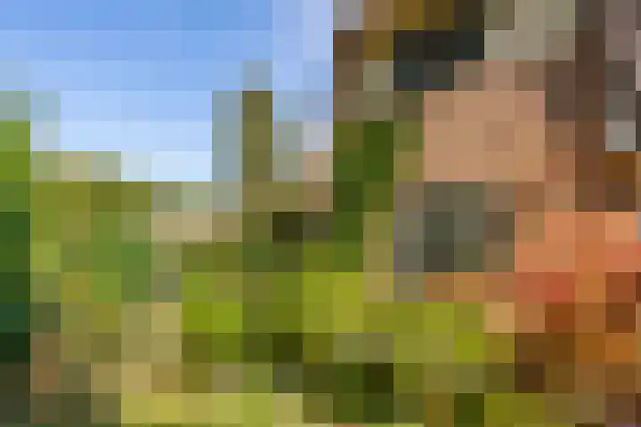 Paviljoenweg 6 Huizen thumbnail 6