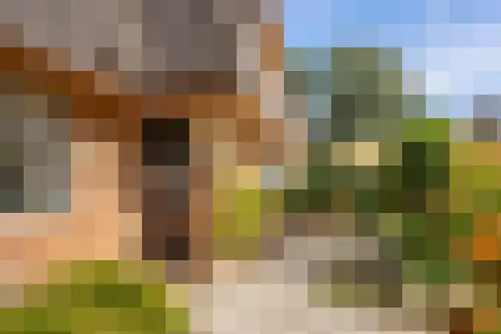 Paviljoenweg 6 Huizen thumbnail 8