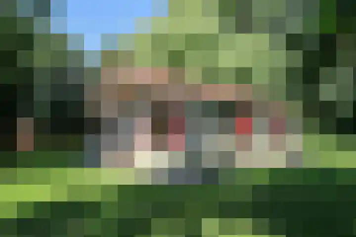 Paviljoenwei 3 Offingawier thumbnail 10