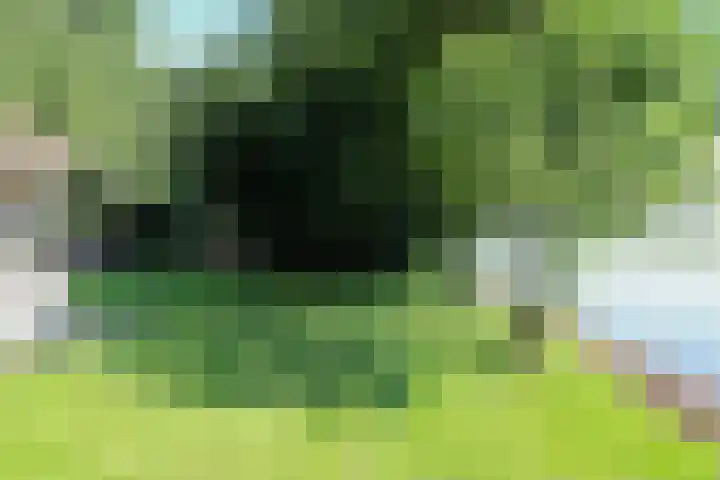 Paviljoenwei 3 Offingawier thumbnail 15