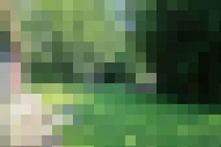 Paviljoenwei 3 Offingawier thumbnail 16