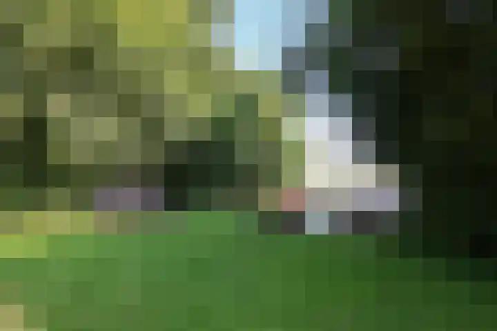 Paviljoenwei 3 Offingawier thumbnail 17