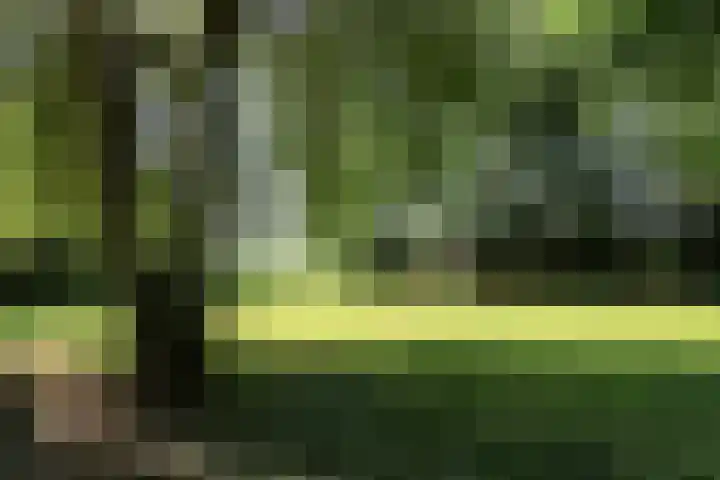 Paviljoenwei 3 Offingawier thumbnail 20
