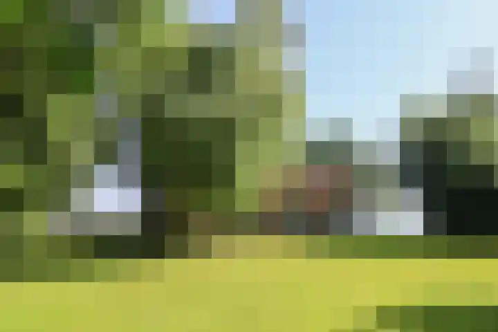 Paviljoenwei 3 Offingawier thumbnail 21