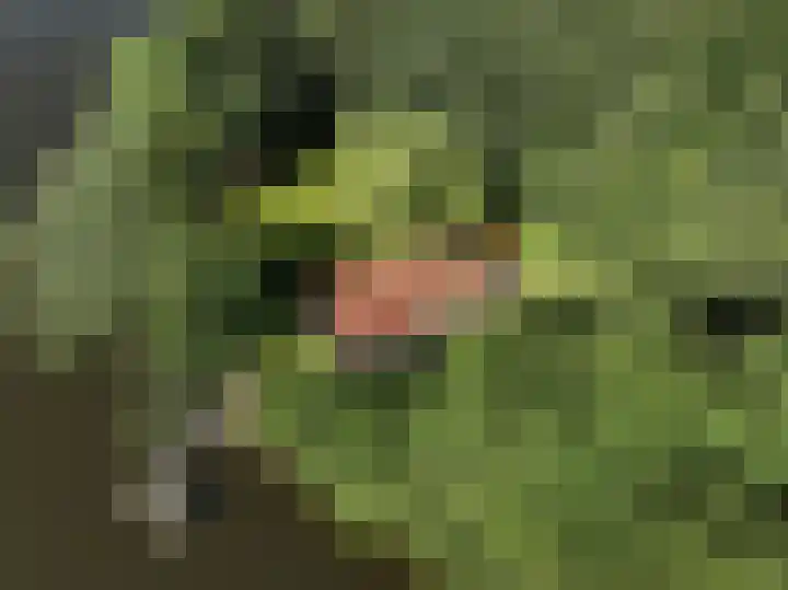 Paviljoenwei 3 Offingawier thumbnail 4