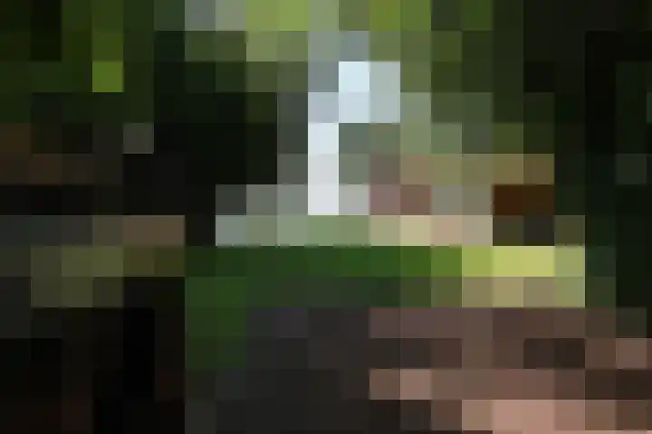 Paviljoenwei 3 Offingawier thumbnail 45