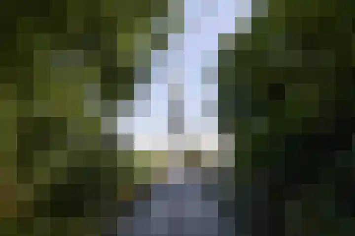 Paviljoenwei 3 Offingawier thumbnail 49