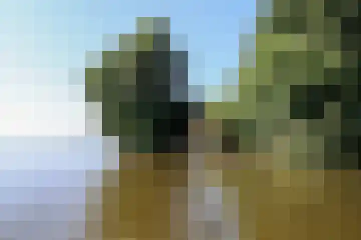 Paviljoenwei 3 Offingawier thumbnail 51
