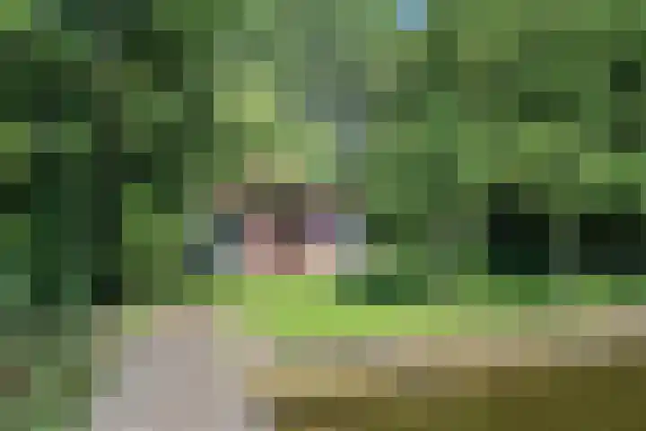 Paviljoenwei 3 Offingawier thumbnail 8