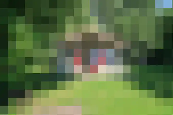 Paviljoenwei 3 Offingawier thumbnail 9