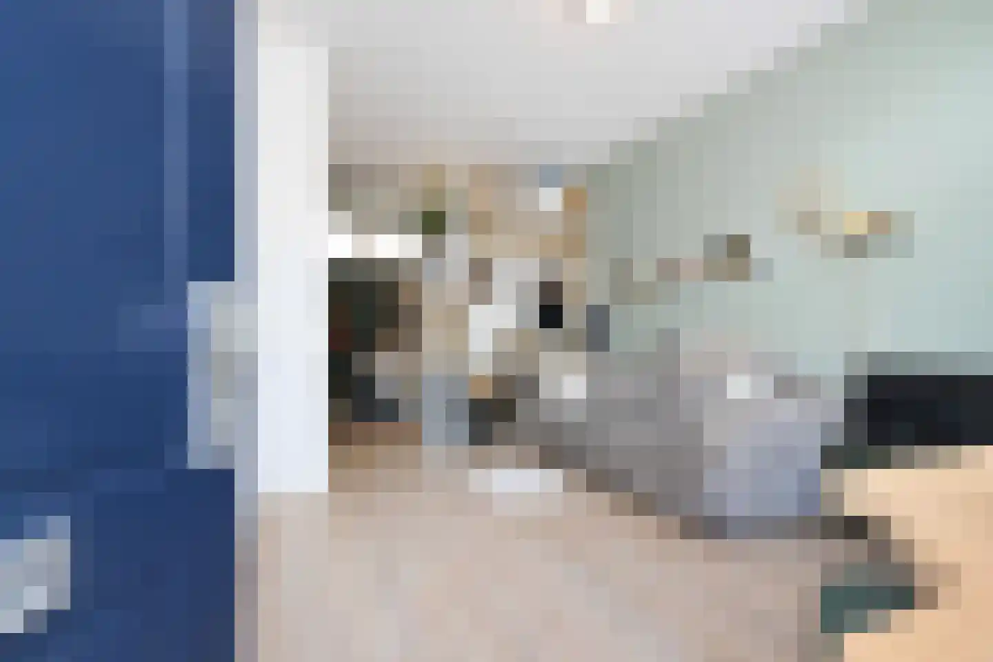 Paxlaan 17 A Delft thumbnail 7