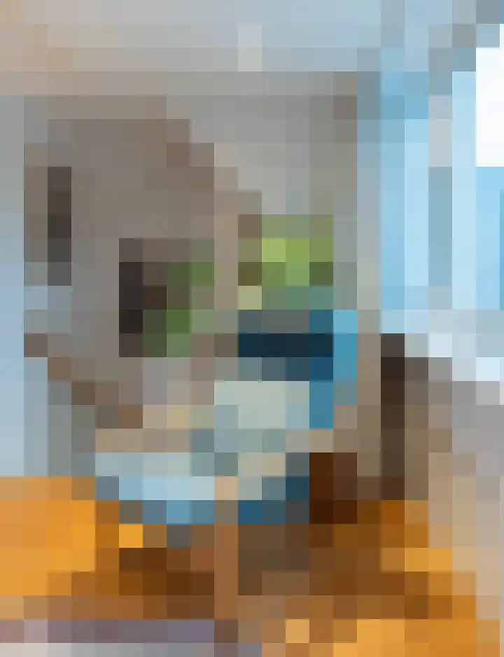 Paxlaan 94 Delft thumbnail 28