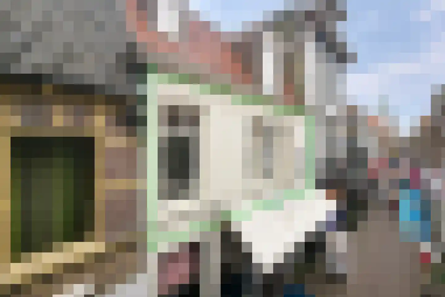 Payglop 5 A Alkmaar