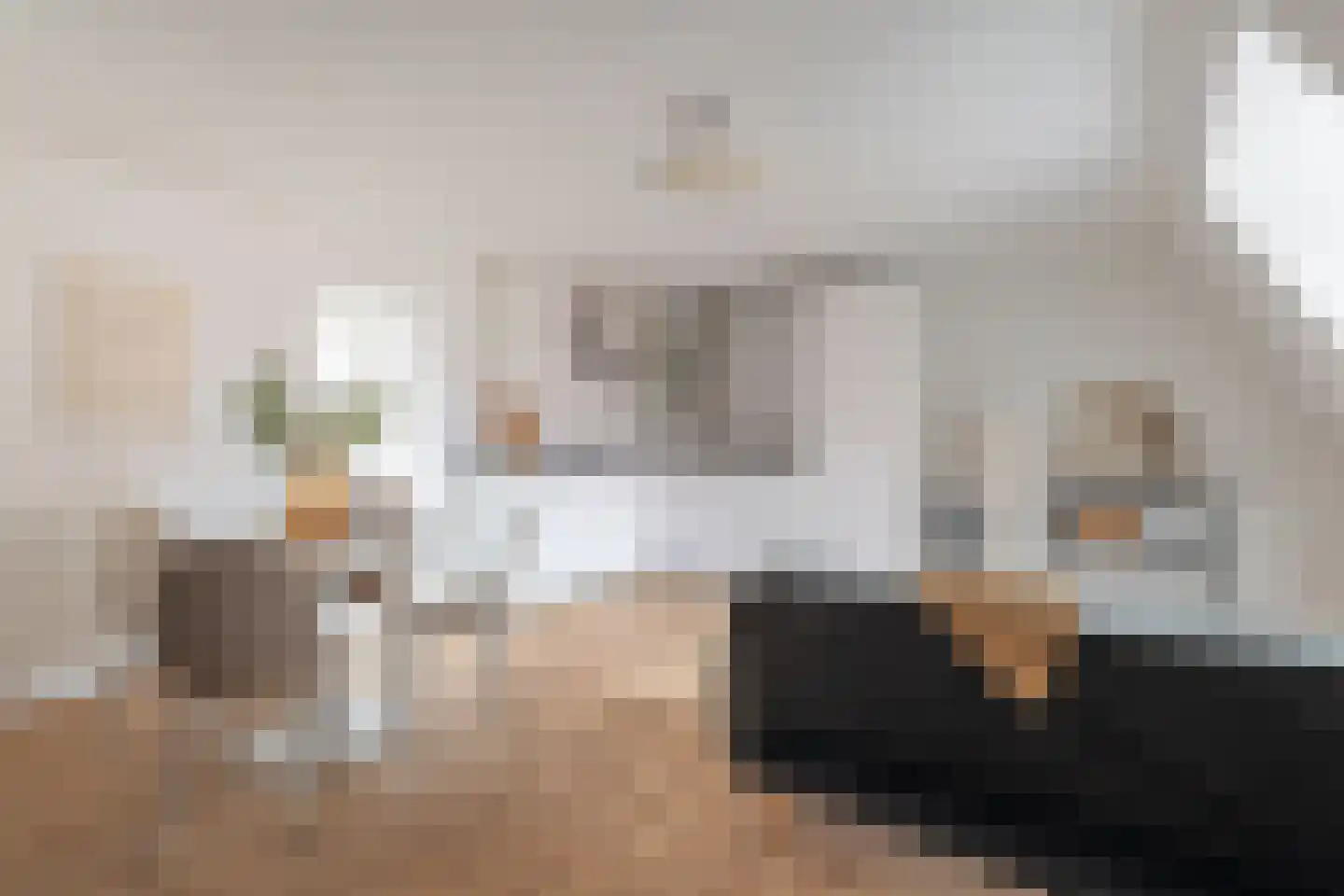 Payglop 5 B Alkmaar thumbnail 10