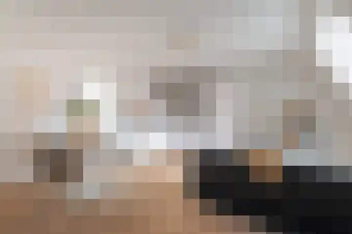 Payglop 5 B Alkmaar thumbnail 10