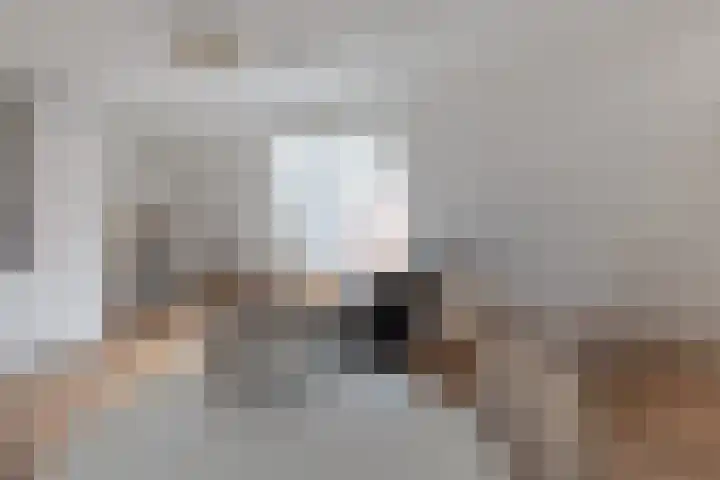 Payglop 5 B Alkmaar thumbnail 15