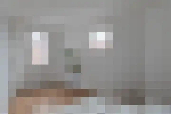 Payglop 5 B Alkmaar thumbnail 20