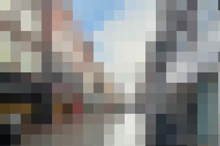 Payglop 5 B Alkmaar thumbnail 29