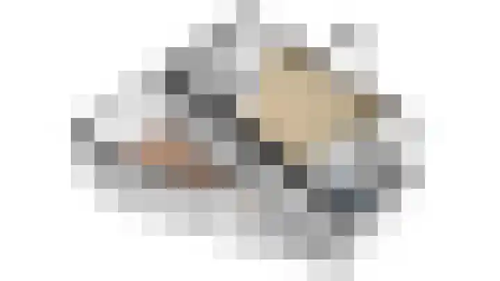 Payglop 5 B Alkmaar thumbnail 32