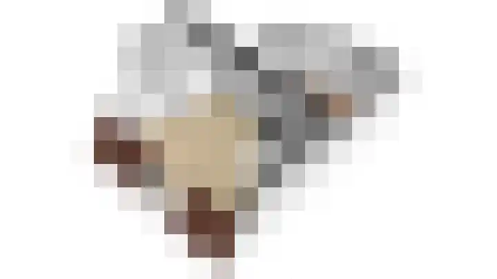 Payglop 5 B Alkmaar thumbnail 33