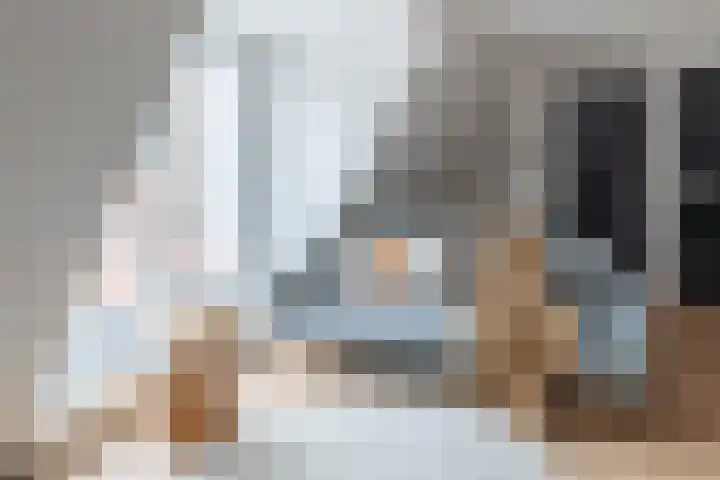 Payglop 5 B Alkmaar thumbnail 6