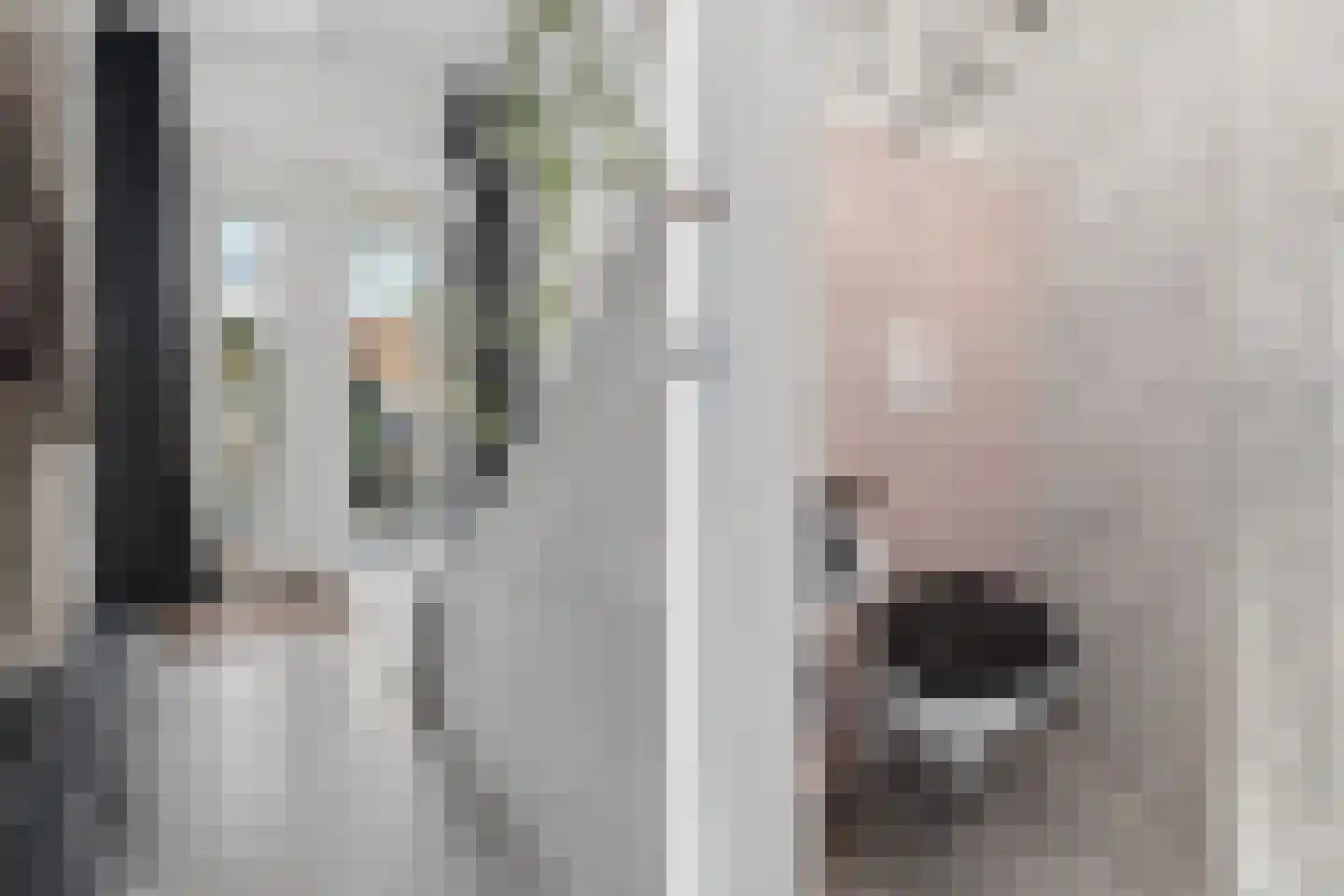 PC Hooftstraat 30 Zevenaar thumbnail 20